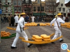 Из Амстердама: Голландия сквозь дырки сыра – Алсмеер, Алкмаар, Эдам (сырный рынок по пятницам и цветочный аукцион)